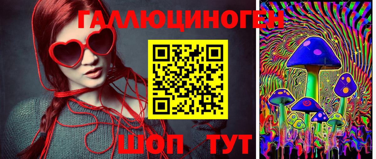 Псилоцибиновые грибы Cubensis Новый Уренгой